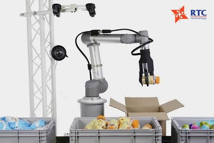 Cobot thực hiện gắp sản phẩm từ băng tải chuyển động và xếp vào thùng carton hoặc khay định hình